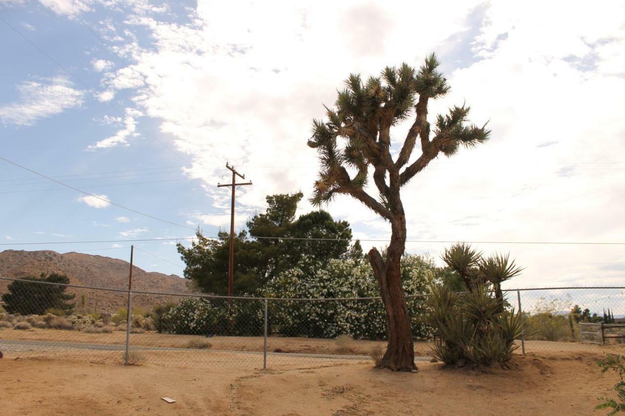 Villa Eclectic Joshua Tree Exterior foto